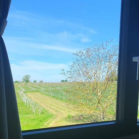 Maison Divon Montagne  Eksteriør billede