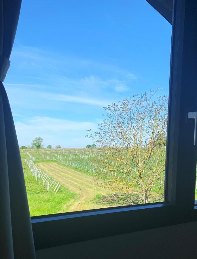 Maison Divon Montagne  Eksteriør billede